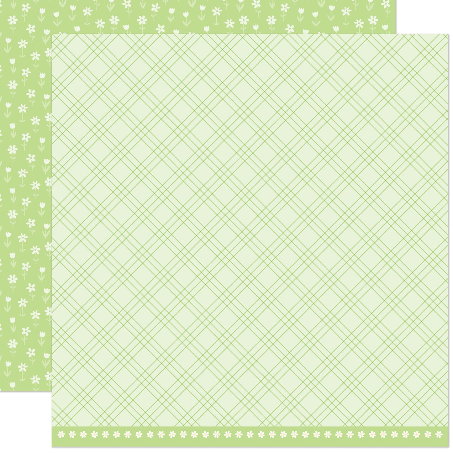 Lawn Fawn - Bitsy Blooms - Baby's Breath 12x12"