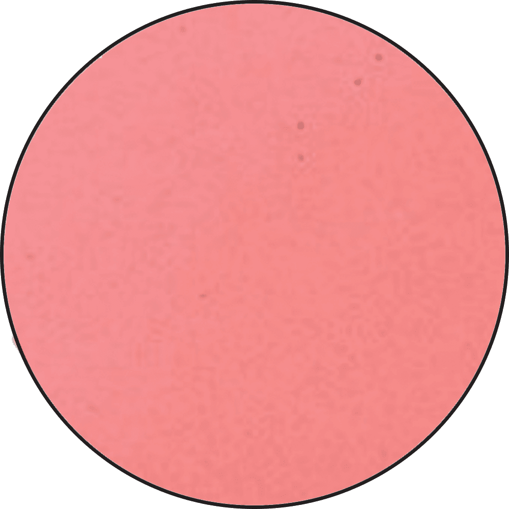 Ranger - Pink Embossing Powder