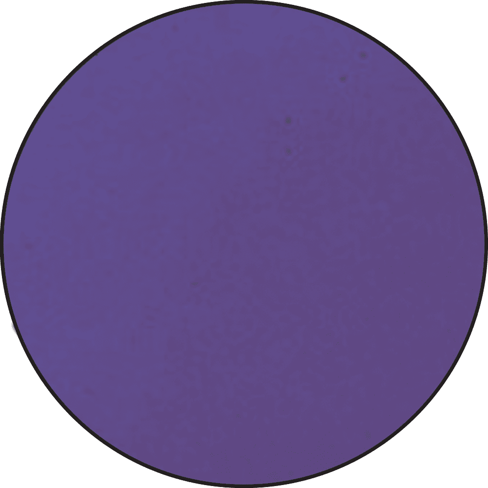 Ranger - Purple Embossing Powder