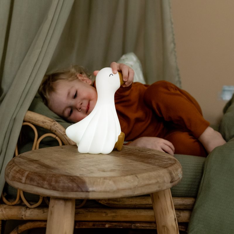 Little Dutch - Little Goose Night Light