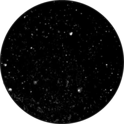 Ranger - Black Embossing Powder