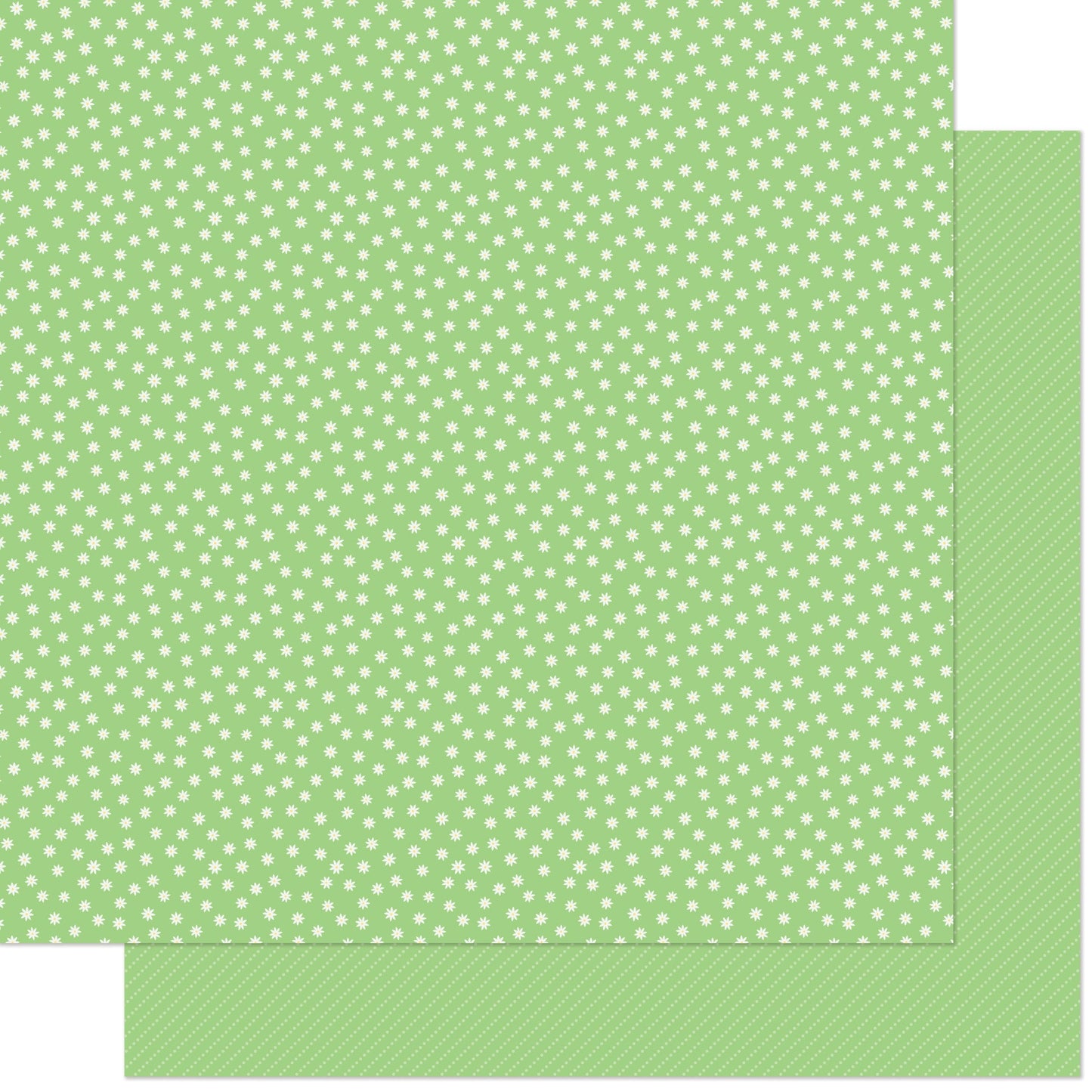 Lawn Fawn - Pint-Sized Patterns Summertime - Green Smoothie 12x12"