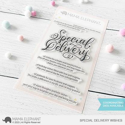 Mama Elephant - Special Delivery Wishes