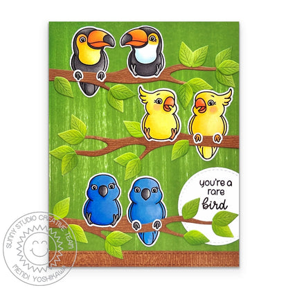 Sunny Studio - Tropical Birds