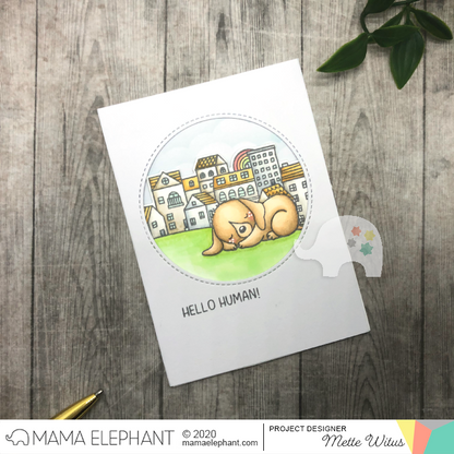 Mama Elephant - My Pet Puppies