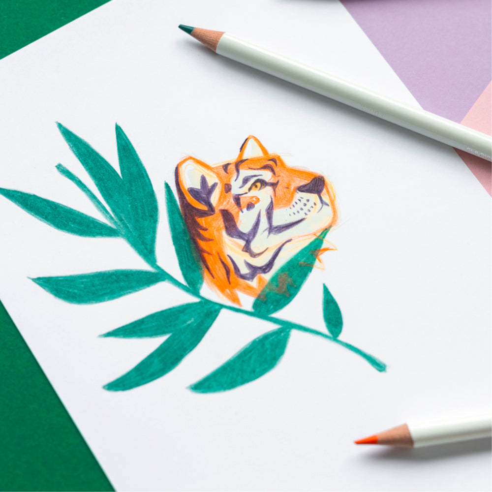 Tombow - IROJITEN Colored Pencil Set Rainforest