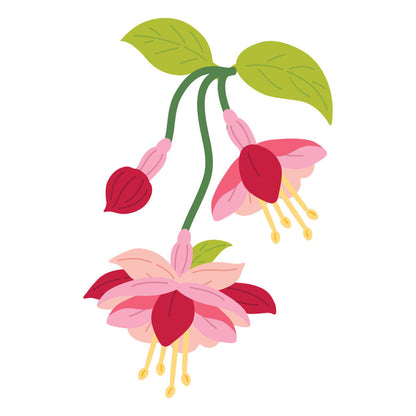 Spellbinders - Magical Fuchsia Etched Dies