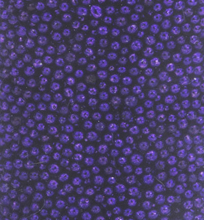 Hobby Crafting Fun - Mini Pearls Purple