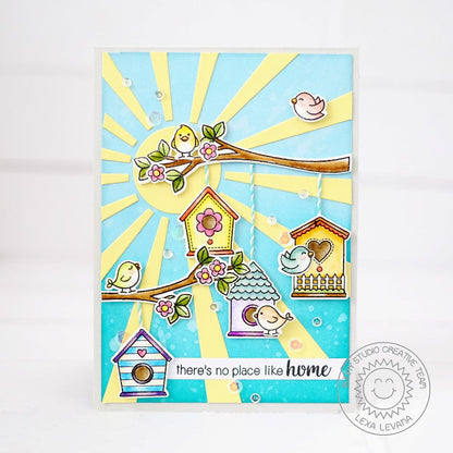 Sunny Studio - a Bird's Life