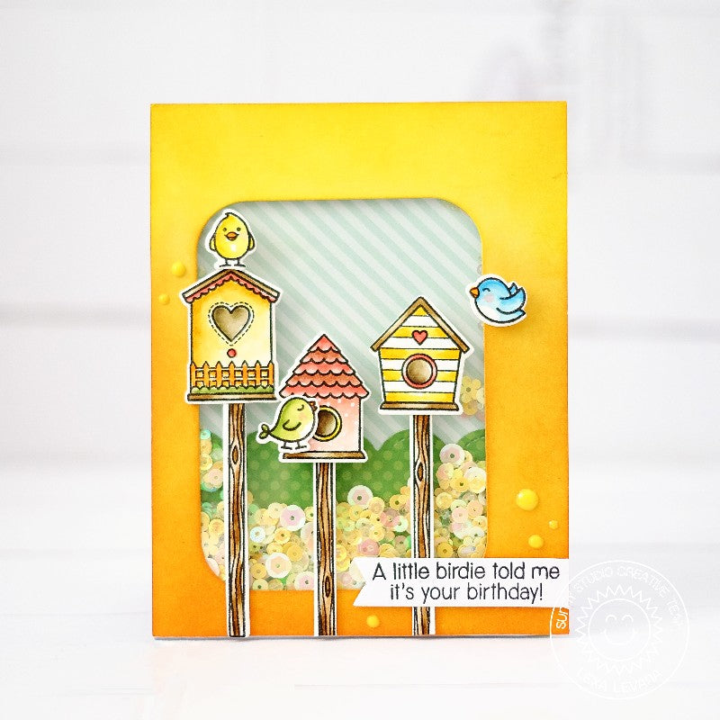 Sunny Studio - a Bird's Life