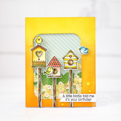 Sunny Studio - a Bird's Life