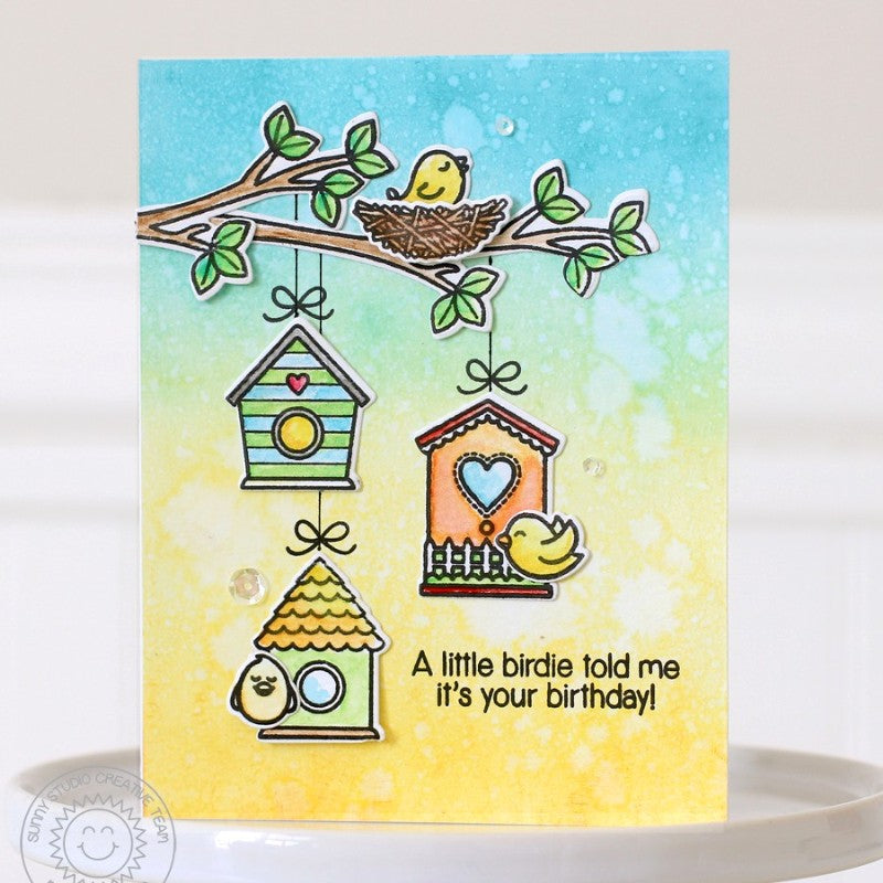 Sunny Studio - a Bird's Life