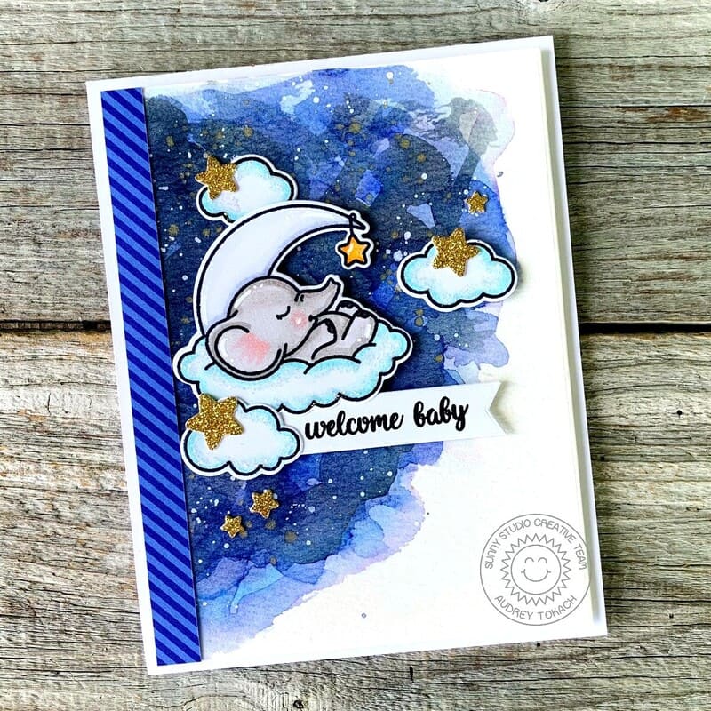Sunny Studio - Baby Elephants