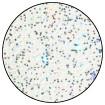 Ranger - Snowflake Tinsel Embossing Powder