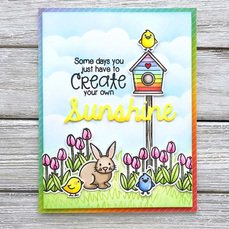 Sunny Studio - a Bird's Life