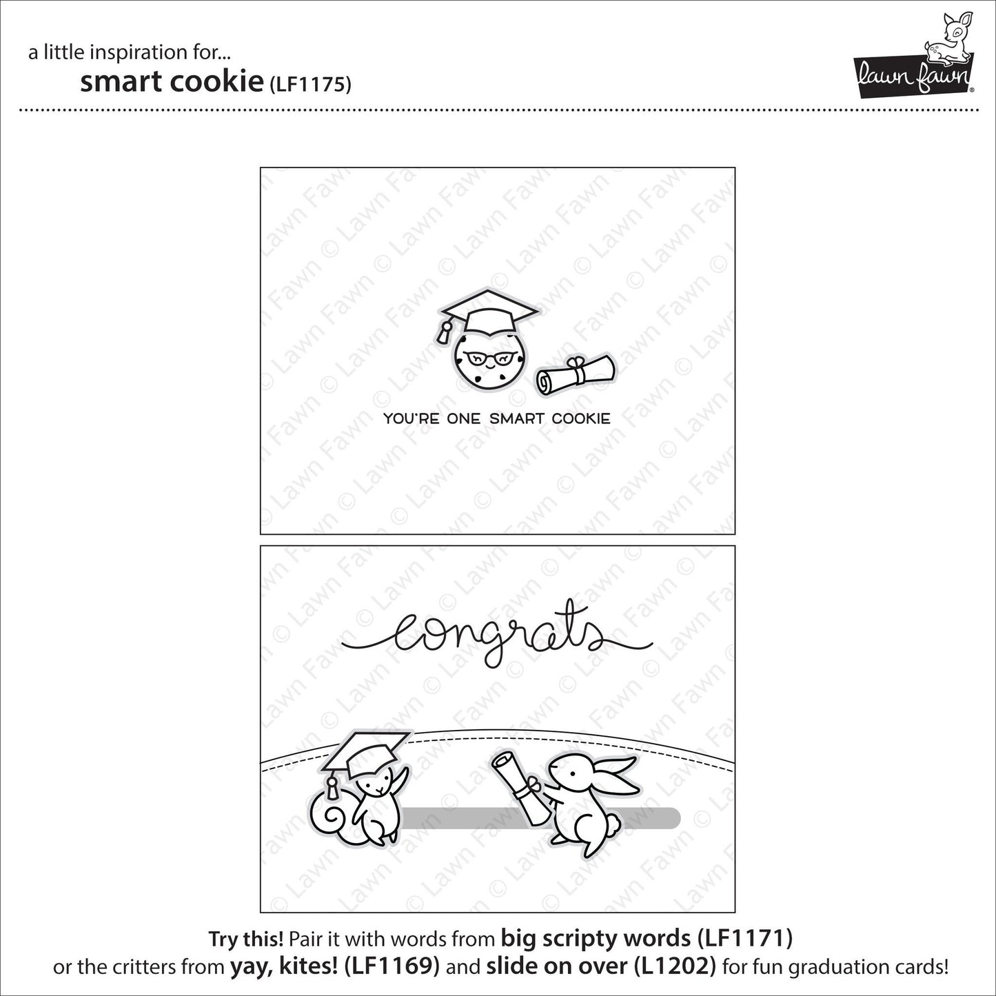 Lawn Fawn - Smart Cookie