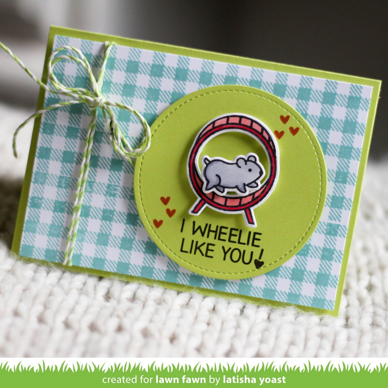 Lawn Fawn - Gingham Backdrops